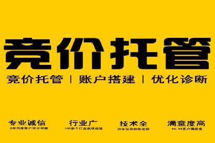 案例解析：SEM竞价代运营如何提升转化率